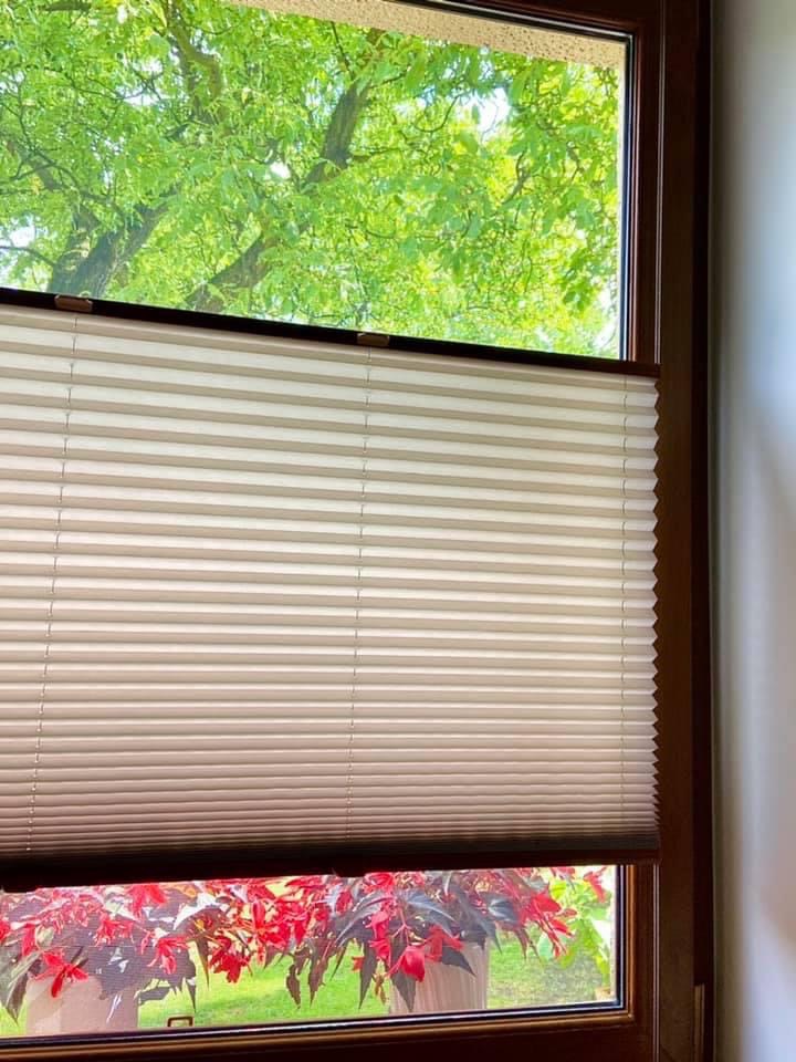 Beżowa, plisowana osłona okienna częściowo zasłonięta, widok na zielone drzewo i czerwone kwiaty na parapecie.