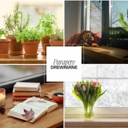 Kolaż czterech ujęć parapetów: zioła w doniczkach na parapecie w kuchni, pies owinięty kocem na parapecie, książka i kawa na drewnianym parapecie, tulipany w wazonie na parapecie, w centralnej...