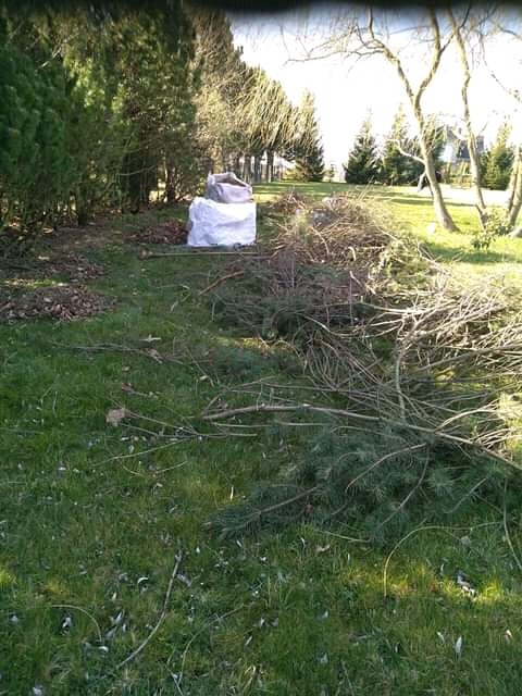 Przycięte gałęzie drzew iglastych i liściastych leżące na trawniku, obok dwa worki z odpadami ogrodowymi, w tle rząd drzew i krzewów.