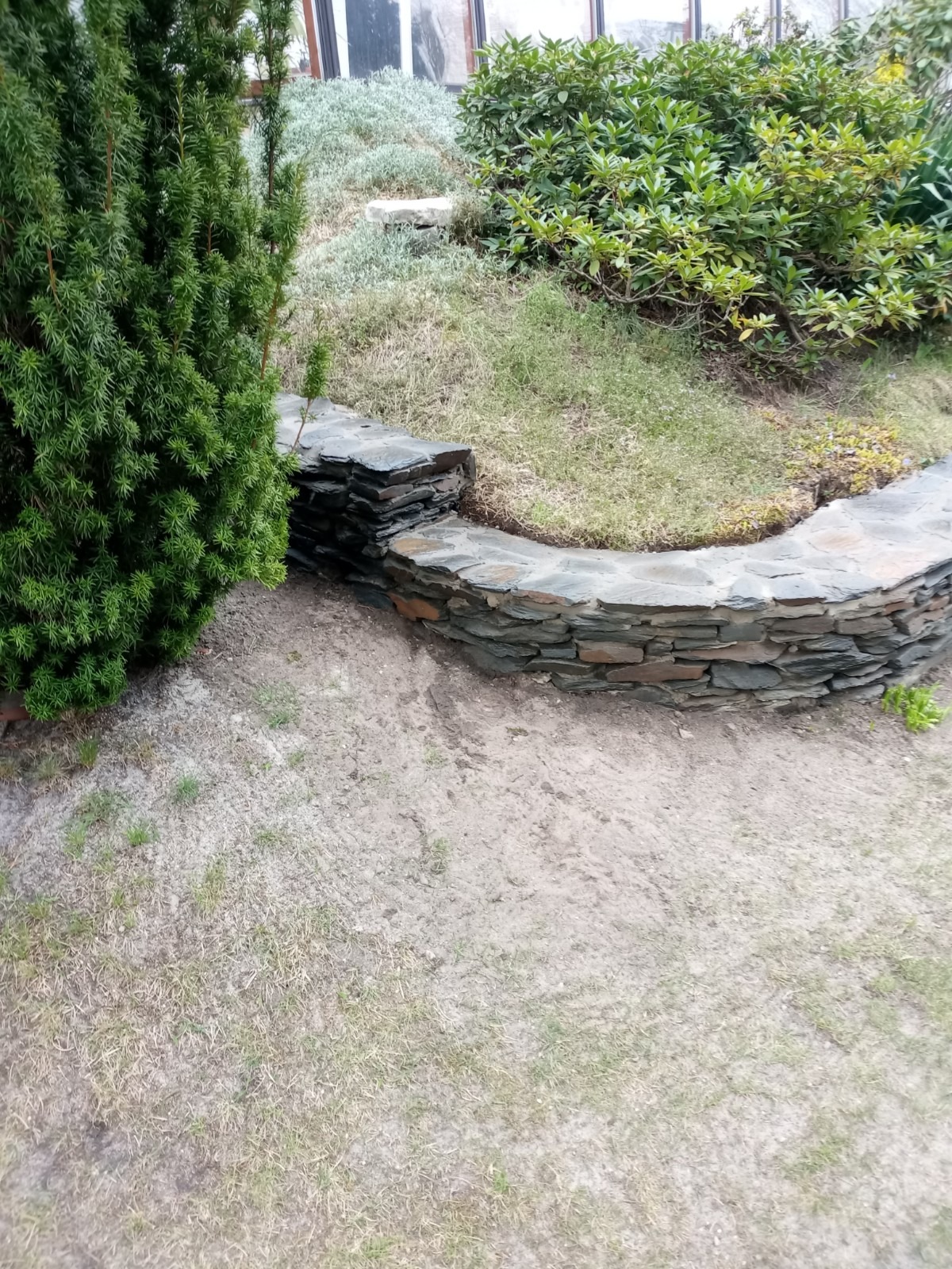 Niski, kamienny murek z łupka oddzielający rabatę z roślinami od trawnika, z widocznym iglakiem po lewej stronie.