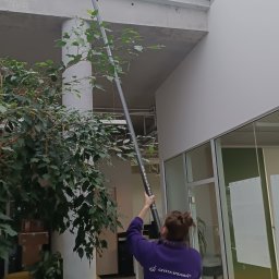 Clean Case Sp. z o.o. - Osoba w fioletowej bluzie z napisem 'CZYSTA SPRAWA' czyści trudno dostępne okno dachowe w biurze za pomocą długiego kija z końcówką czyszczącą, obok widoczne rośliny doniczkowe.