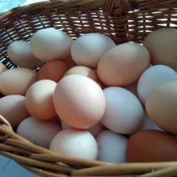 Kosz wiklinowy wypełniony świeżymi produktami o różnych odcieniach bieli i brązu, z delikatnym oświetleniem podkreślającym ich naturalną teksturę.