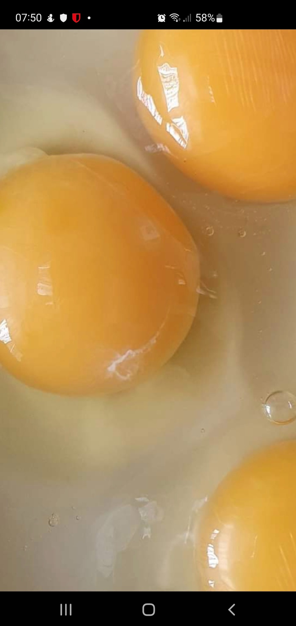 Trzy żółtka w białku, widoczne drobne pęcherzyki powietrza i fragment chalazy, widok z góry z bliska.