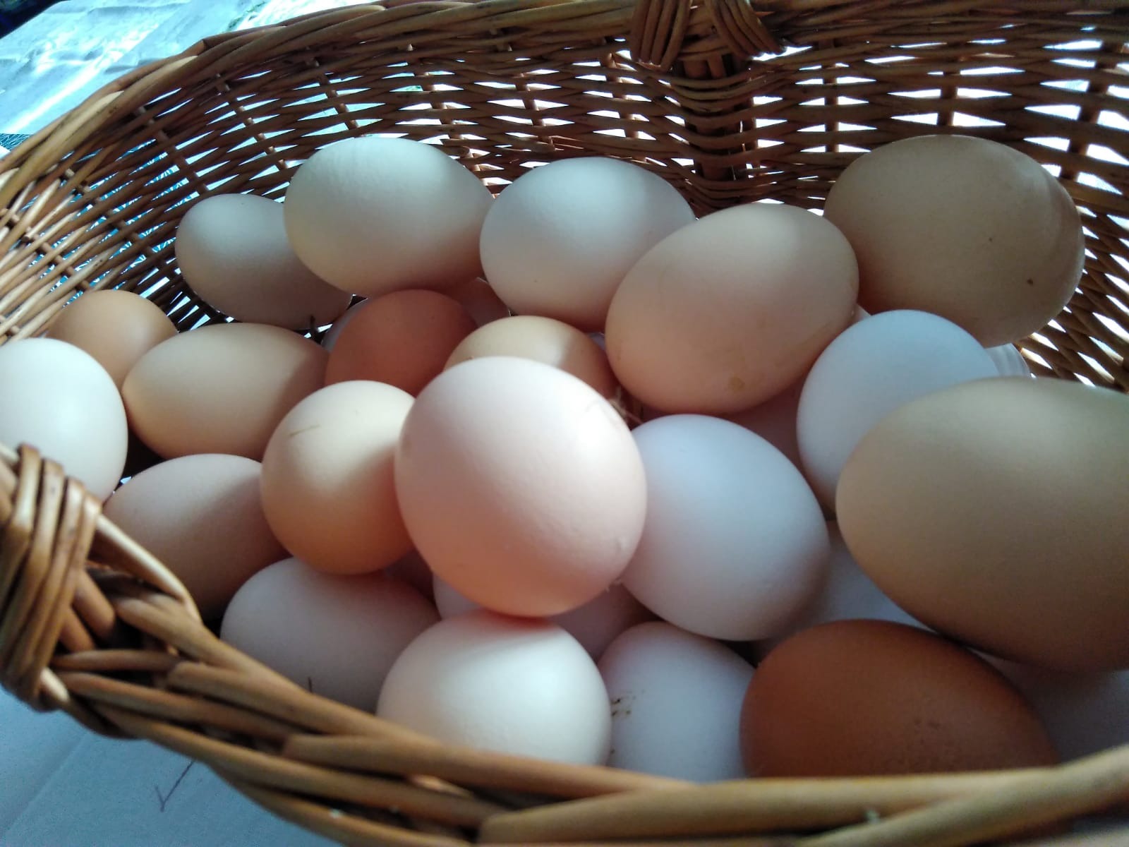 Kosz wiklinowy wypełniony świeżymi produktami o różnych odcieniach bieli i brązu, z delikatnym oświetleniem podkreślającym ich naturalną teksturę.