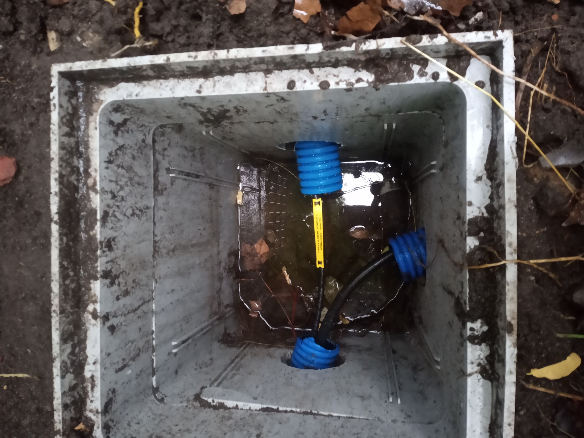 Studzienka rewizyjna z niebieskimi rurami karbowanymi i czarnym kablem wewnątrz, wypełniona wodą i liśćmi, widok z góry.