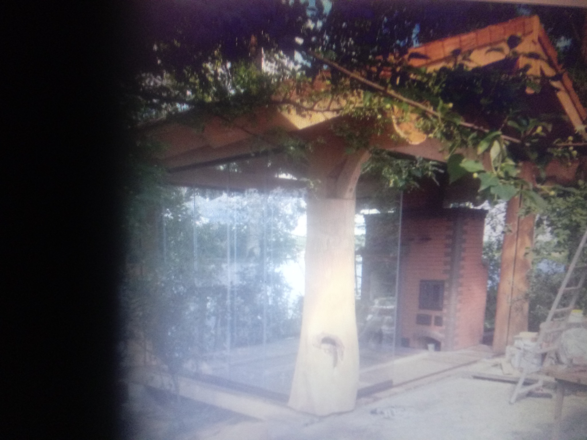 Pergola z drewna, częściowo przeszklona, z widocznym piecem z cegły w tle, otoczona zielenią.