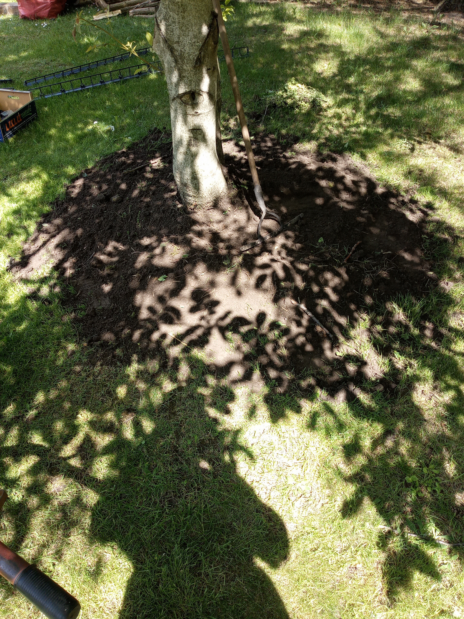 obrzeża w koło orzecha