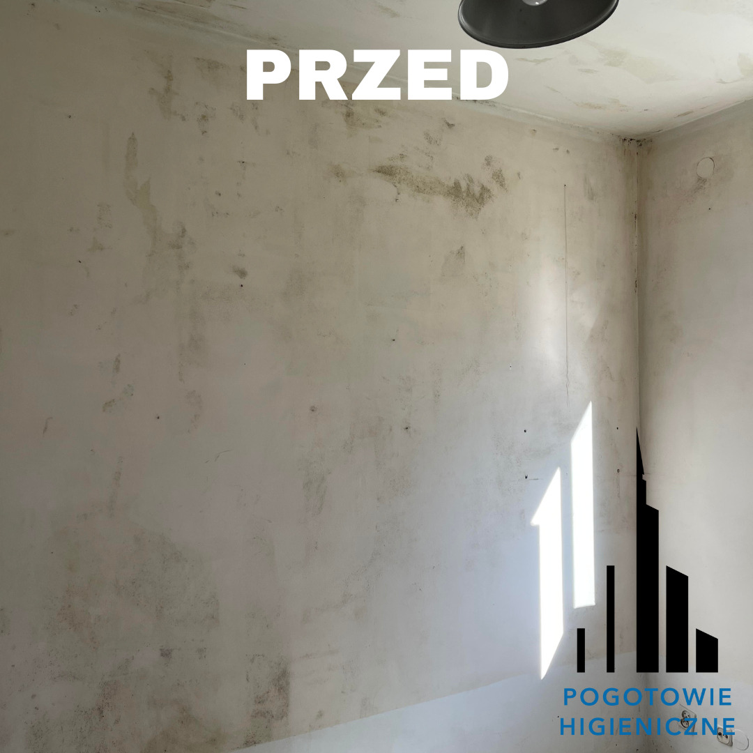 Ściana w rogu pomieszczenia z widocznymi śladami pleśni i wilgoci, oznaczona napisem 'PRZED', z logo firmy w prawym dolnym rogu.