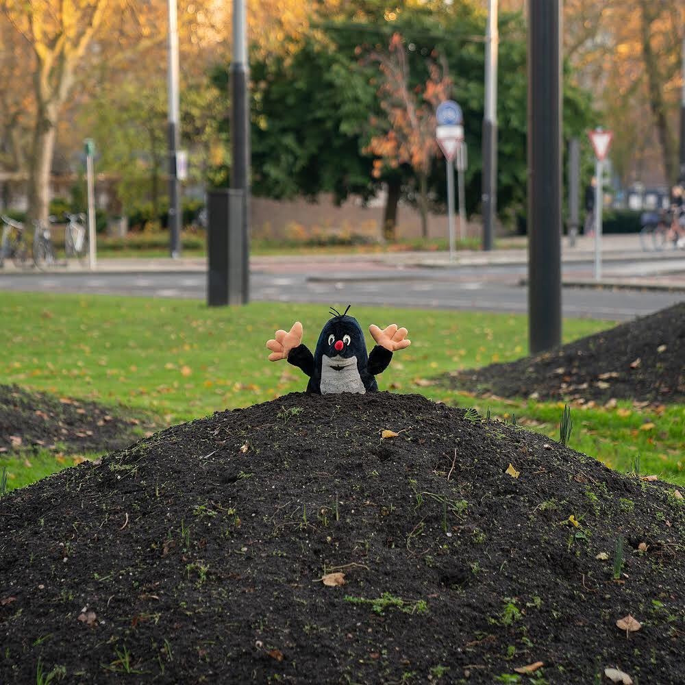 Pluszowy krecik z rozłożonymi rękami wystaje z kopca świeżej ziemi na tle miejskiego krajobrazu z drzewami i ulicą.