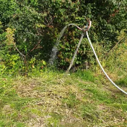 Woda wypływa z rury wystającej z ziemi na tle gęstej zieleni, prawdopodobnie podczas testowania wydajności nowo wywierconej studni.