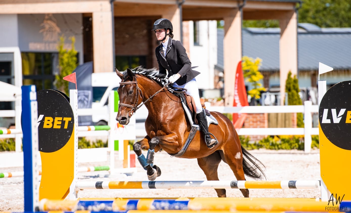 Jeździec w czarnym fraku i kasku na brązowym koniu skacze przez przeszkodę na zawodach jeździeckich, widoczne bariery z logotypami sponsorów i publiczność w tle.