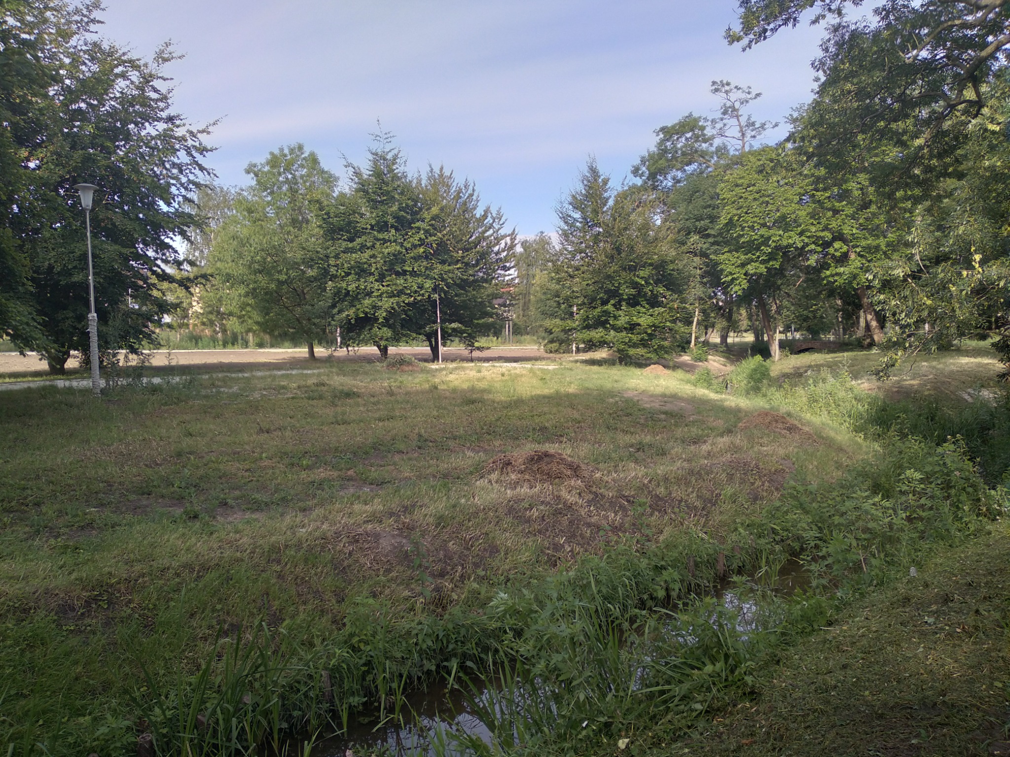 Fragment parku z drzewami, strumykiem i skoszoną trawą, widoczne ślady po koszeniu.