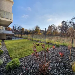 Nowoczesny ogród z równo przystrzyżonym trawnikiem, wysypany drobnymi kamieniami, ogrodzony metalową siatką, widok z perspektywy niskiej roślinności.