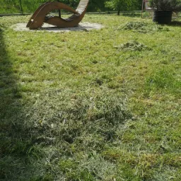 Świeżo skoszona trawa w ogrodzie, z widocznym drewnianym leżakiem i resztkami trawy na trawniku.