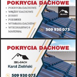 Ziel-dach usługi ciesielsko dekarskie - Malowanie Dachów Wilga