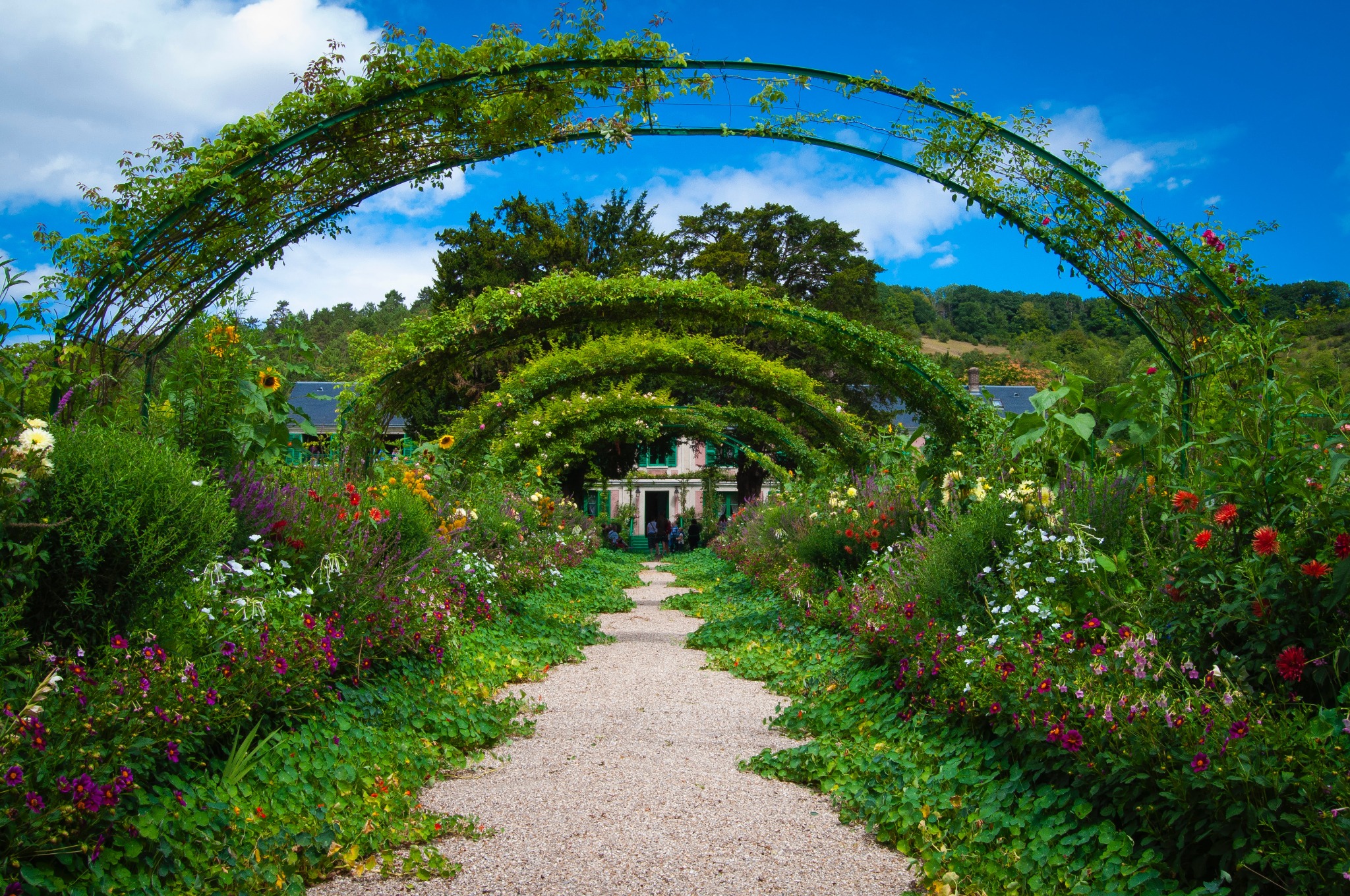 Gravel path leading through a flower garden under a series of green metal arches covered in climbing plants towards a pink house with green shutters, on a sunny day.