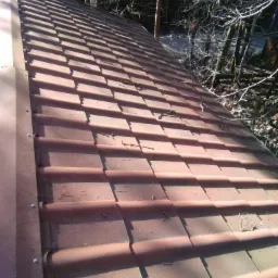 Czerwona dachówka ceramiczna z widocznymi drobnymi uszkodzeniami i resztkami organicznymi, na tle drzew bezlistnych w pochmurny dzień.