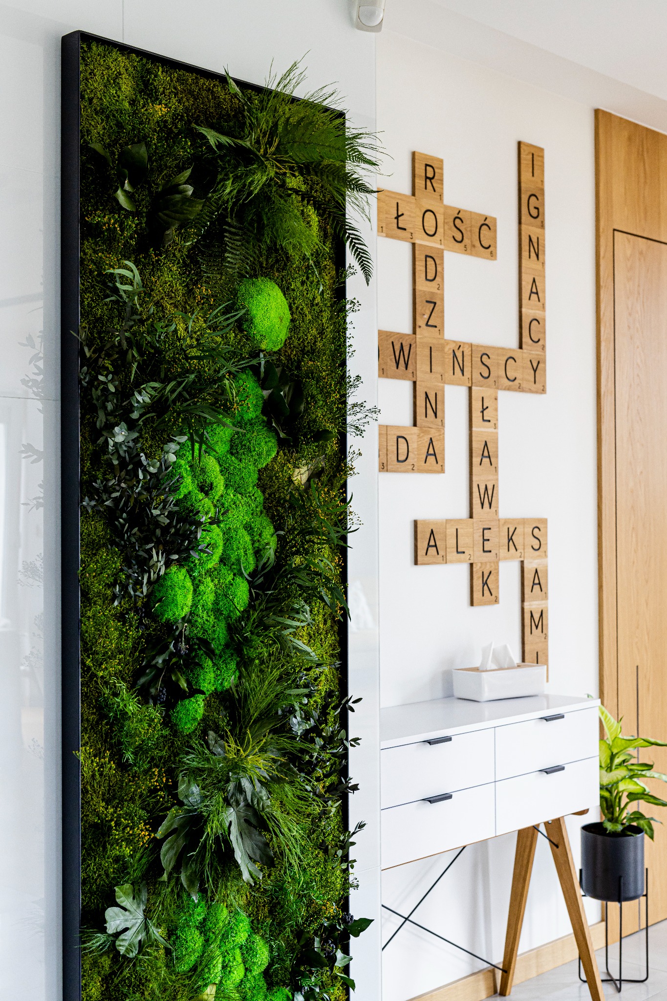 Krótka prezentacja naszego bezobsługowego ogrodu w postaci zielnej ściany z mchu i roślin.