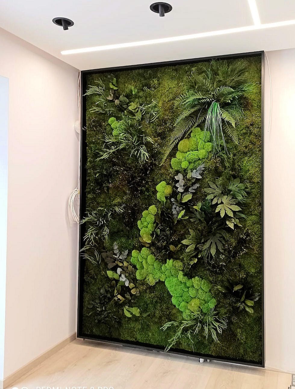 Wertykalny panel z mchu i roślin w czarnej ramie, oświetlenie sufitowe, minimalistyczny wystrój wnętrza.