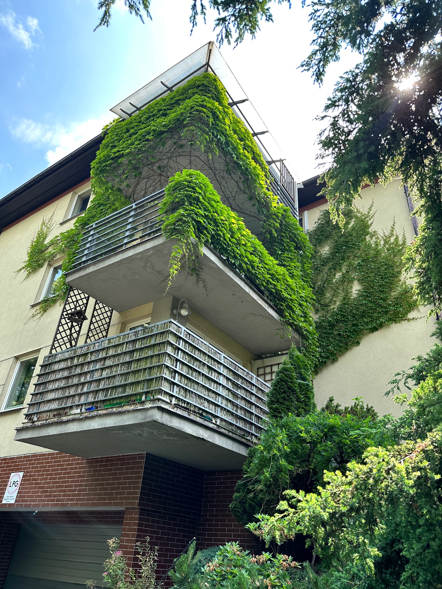 Budynek wielorodzinny z balkonami porośniętymi gęstą zielenią, pnącza pokrywają również fragment elewacji, widok z dołu na błękitne niebo z promieniami słońca.