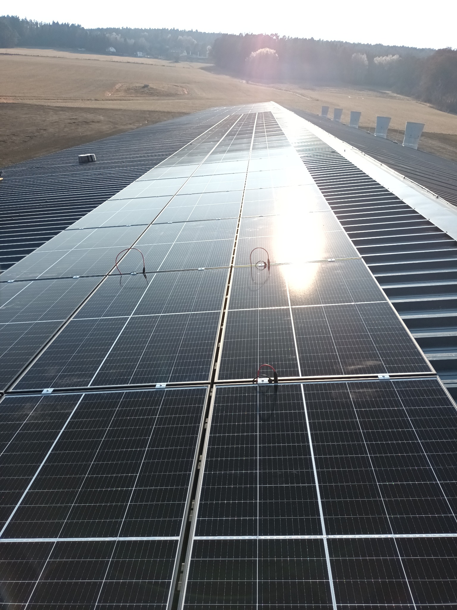 Instalacja fotowoltaiczna na dachu hali przemysłowej z widocznymi przewodami i odblaskami słońca na panelach, w tle pole i las.