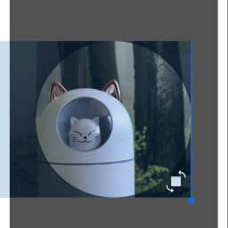 RemontPol Naomi Morris