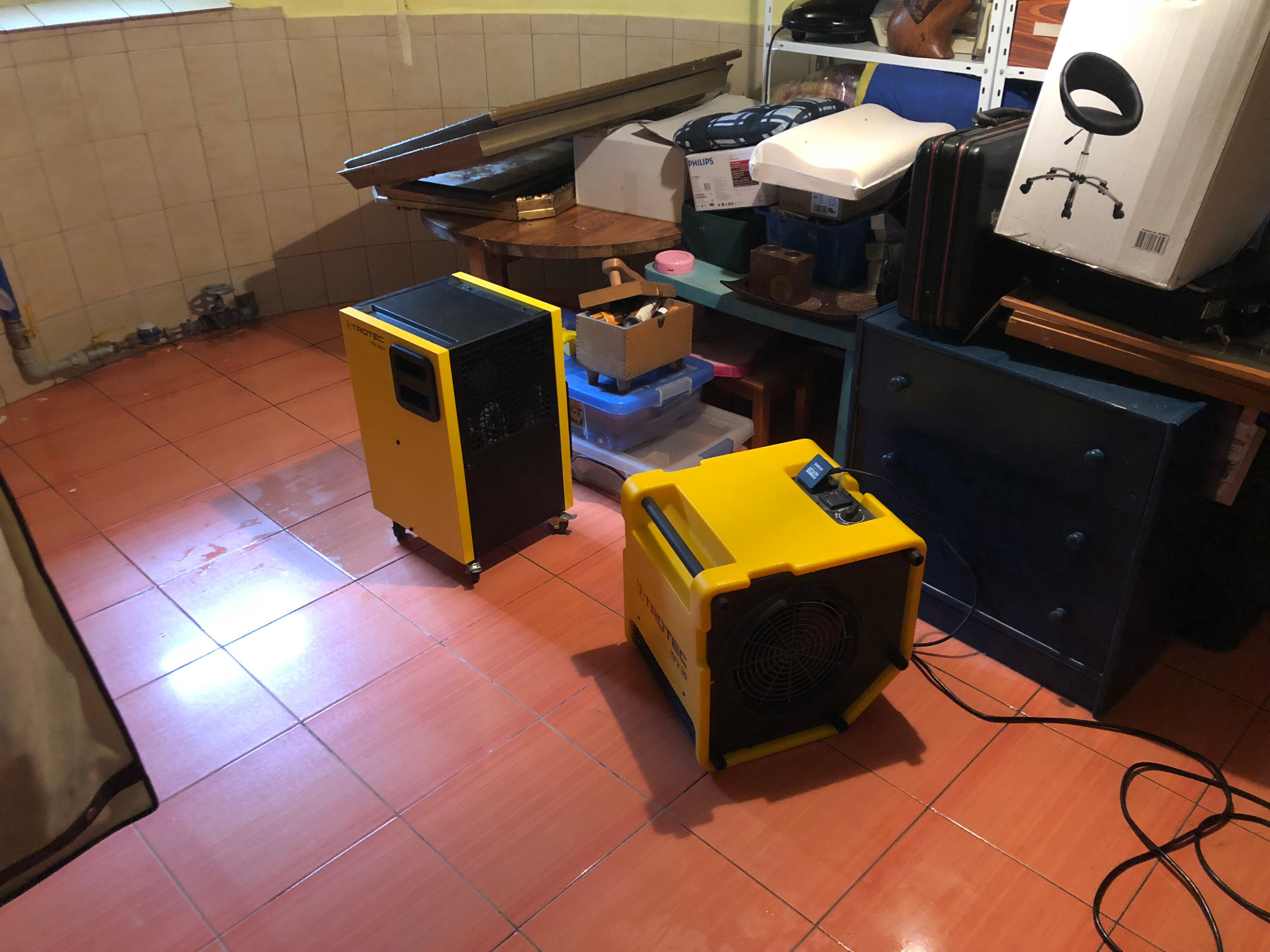 Dwa żółte przemysłowe osuszacze powietrza marki Trotec stoją na pomarańczowych płytkach w zagraconym pomieszczeniu z kremowymi ścianami.