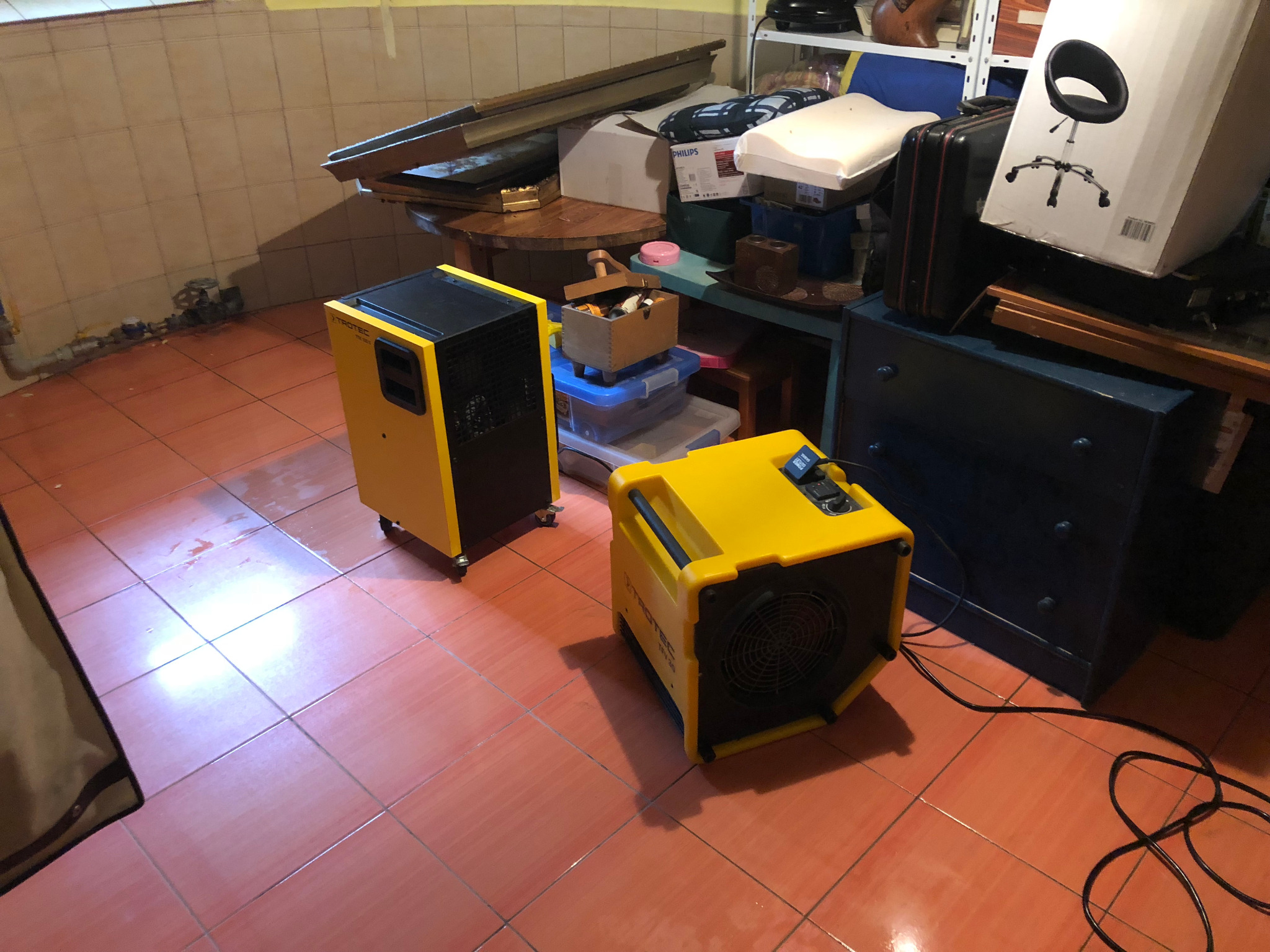 Dwa żółte osuszacze powietrza Trotec stoją na pomarańczowej podłodze z płytek w zagraconym pomieszczeniu. Jeden osuszacz jest czarno-żółty, a drugi jest ustawiony pod kątem, ukazując wlot powietrza.