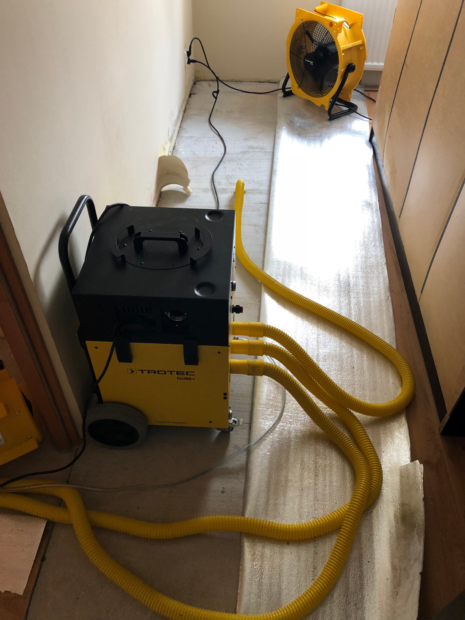 Profesjonalny sprzęt do osuszania Trotec Qube+ z podłączonymi żółtymi wężami, ustawiony w rogu pomieszczenia z widocznymi śladami wilgoci i dodatkowym wentylatorem.