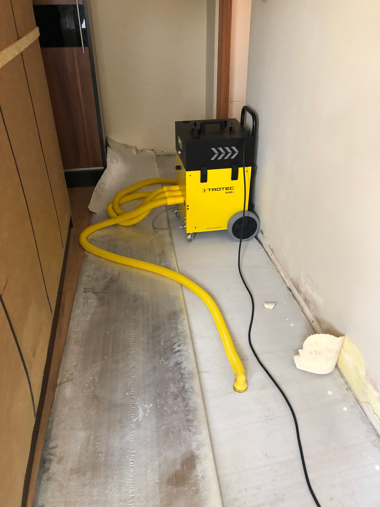 Żółty osuszacz Trotec Qube+ z podłączonymi rurami, umieszczony na podłodze w trakcie osuszania, widoczne ślady wilgoci na ścianie i odchodząca tapeta.
