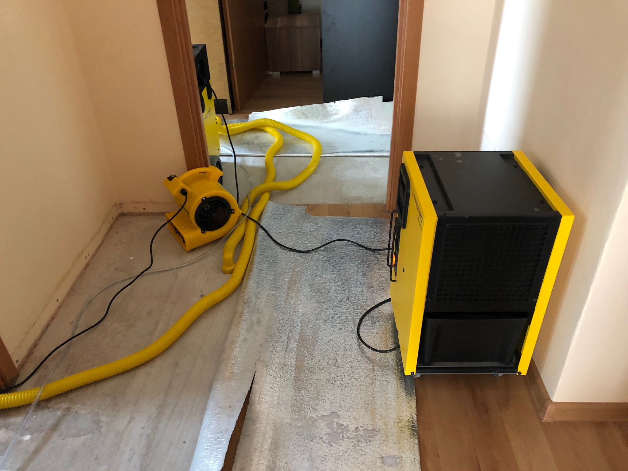 Dwa żółte urządzenia do osuszania, wentylator i osuszacz, z przewodami na podłodze w trakcie pracy w pomieszczeniu z widocznymi śladami wilgoci.