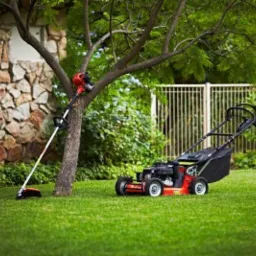 Czerwono-czarna kosiarka spalinowa i podkaszarka spalinowa oparte o drzewo na równo przystrzyżonym trawniku przed kamiennym domem.