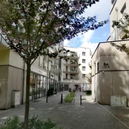 Ulica osiedlowa z kwitnącym drzewem wiśni japońskiej, budynki biurowe z witrynami, osoby w oddali, kostka brukowa na chodniku.