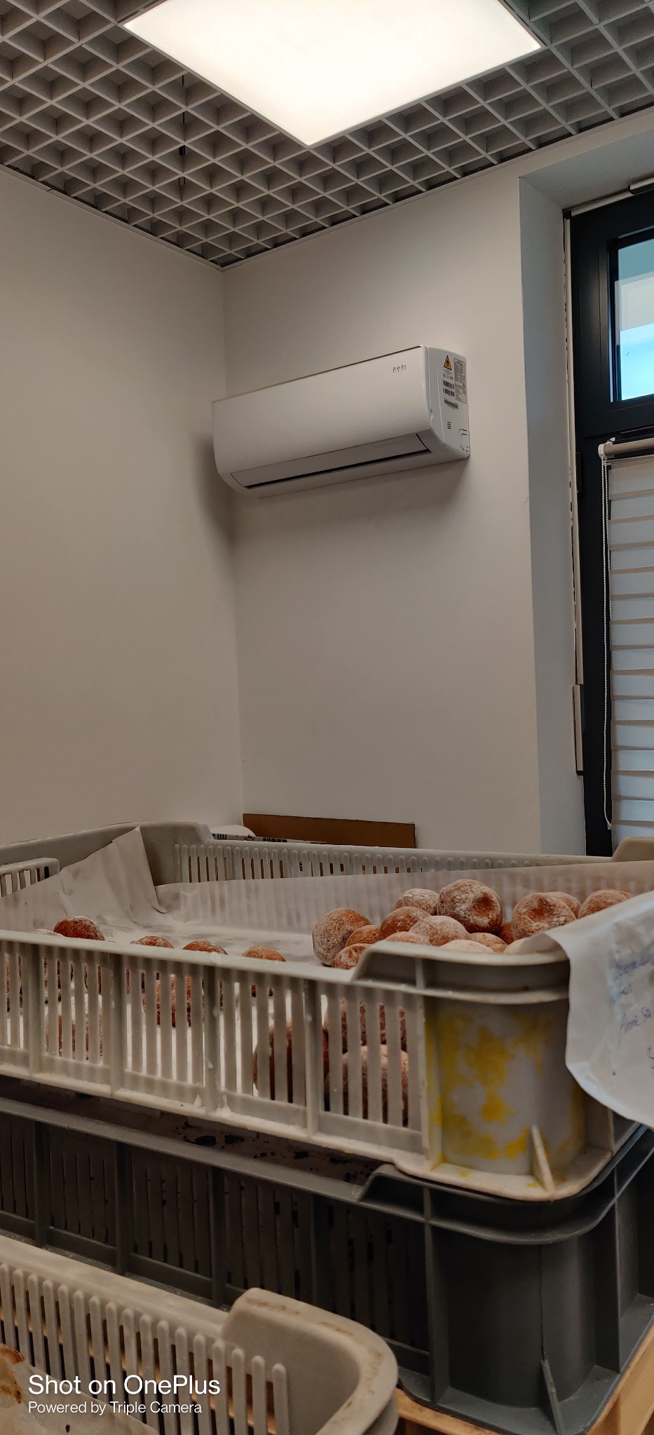 Biały klimatyzator ścienny marki Fuji zainstalowany w pomieszczeniu z kasetami pełnymi pączków z cukrem pudrem, widoczne kratki sufitowe i fragment okna z żaluzjami.