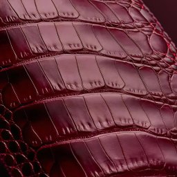 Projektowanie logo Gdańsk 1