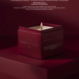 Projektowanie logo Gdańsk 3