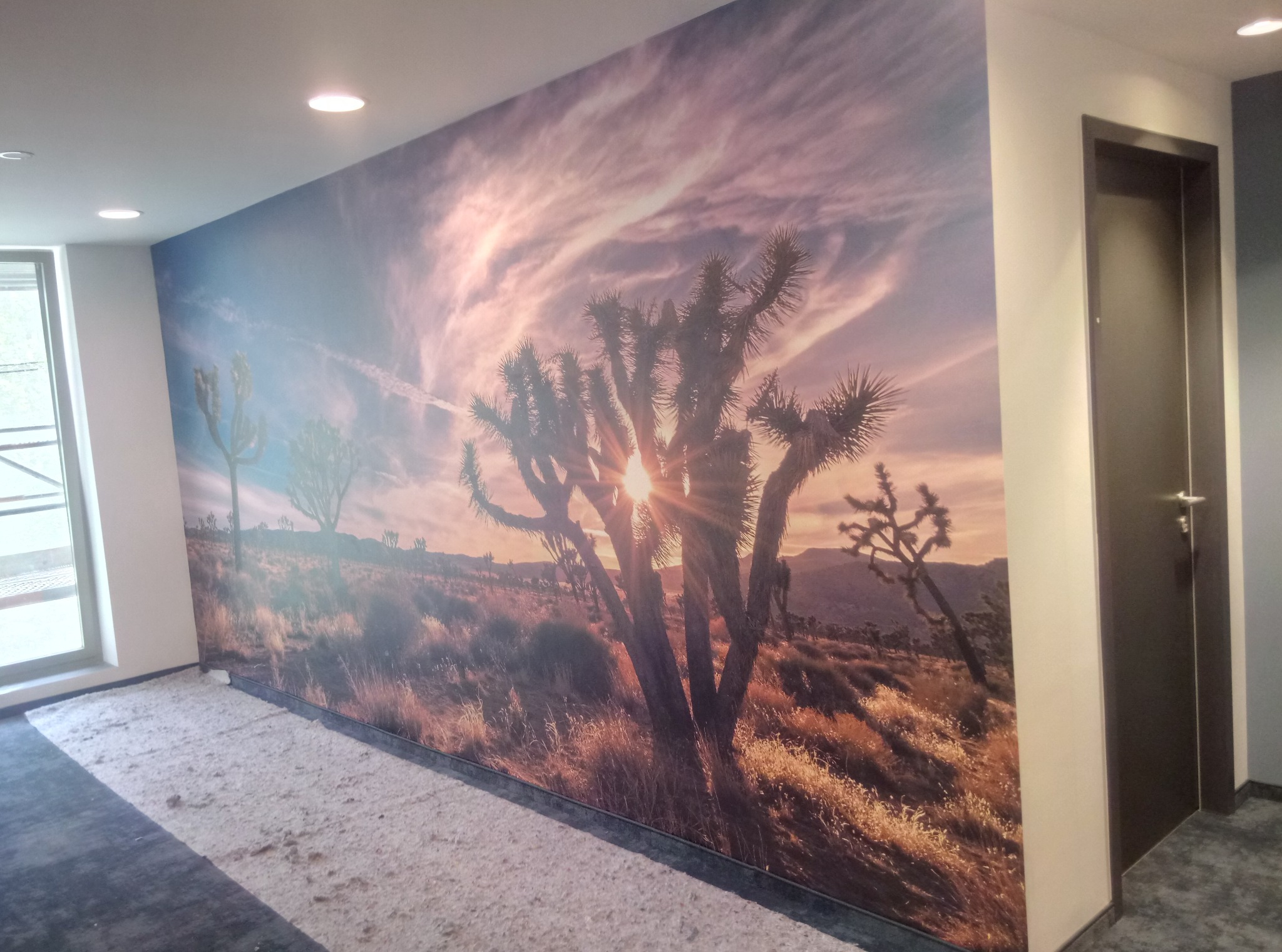 Fototapeta z motywem pustynnego krajobrazu z drzewami Joshua Tree, zamontowana na ścianie w jasnym pomieszczeniu z oknem i ciemnymi drzwiami po prawej stronie.