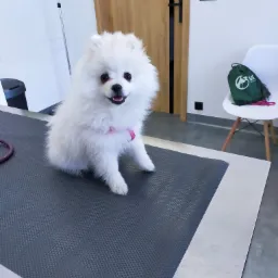 Masza zadowolona po szczepieniu