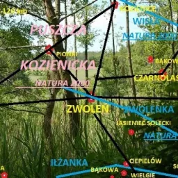 Mapa Puszczy Kozienickiej z zaznaczonymi miejscowościami, rzekami i obszarami Natura 2000 na tle lasu.