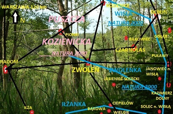 Mapa Puszczy Kozienickiej z zaznaczonymi miejscowościami, rzekami i obszarami Natura 2000 na tle lasu.
