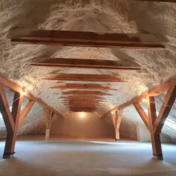 Poddasze ocieplone pianką PUR, widoczne drewniane krokwie i słupy konstrukcyjne, oświetlenie punktowe. Pianka pokrywa skośne ściany i sufit, tworząc jednolitą warstwę izolacyjną.