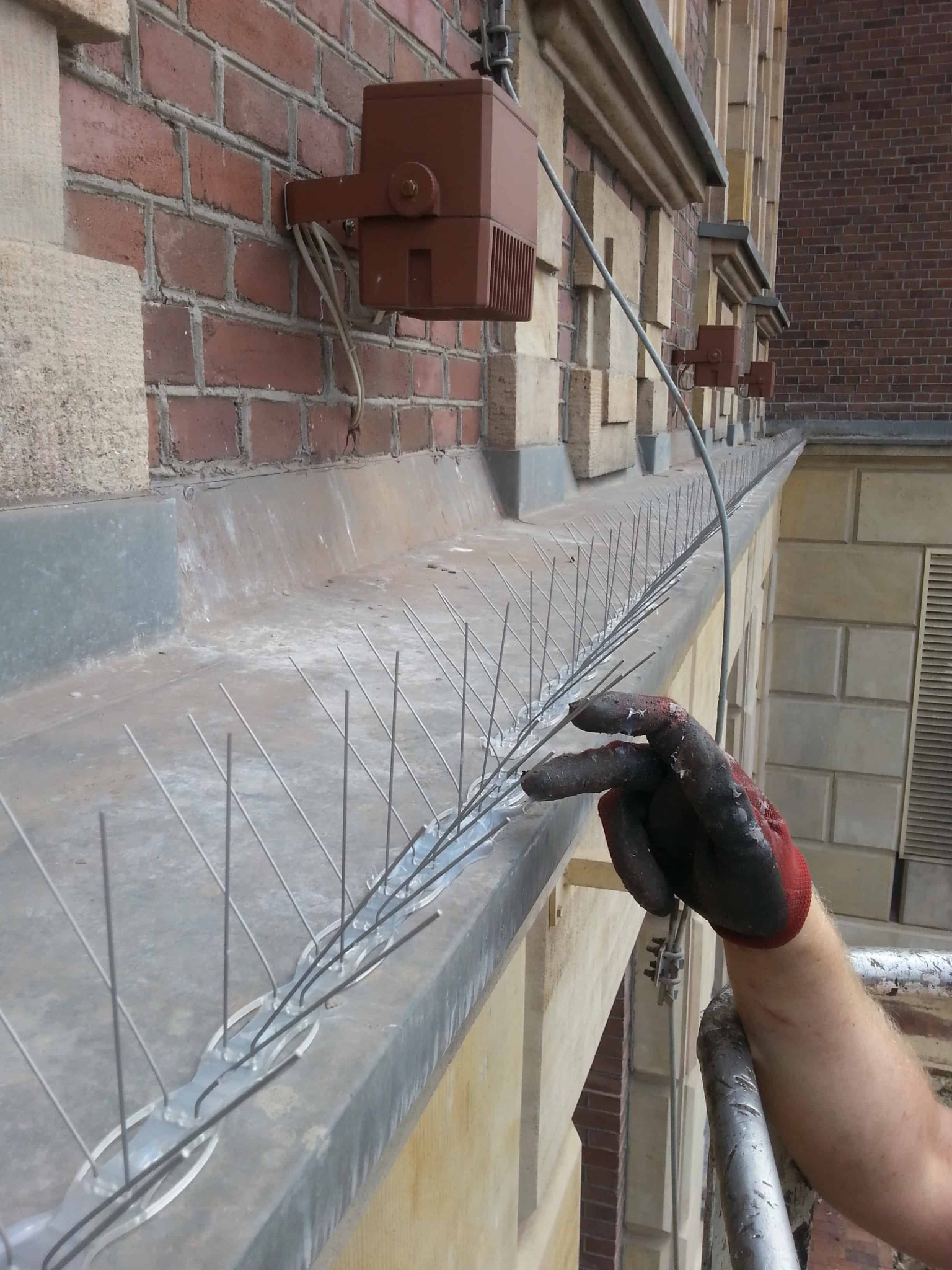 Montaż kolców przeciwko Gołębiom w Bydgoszczy