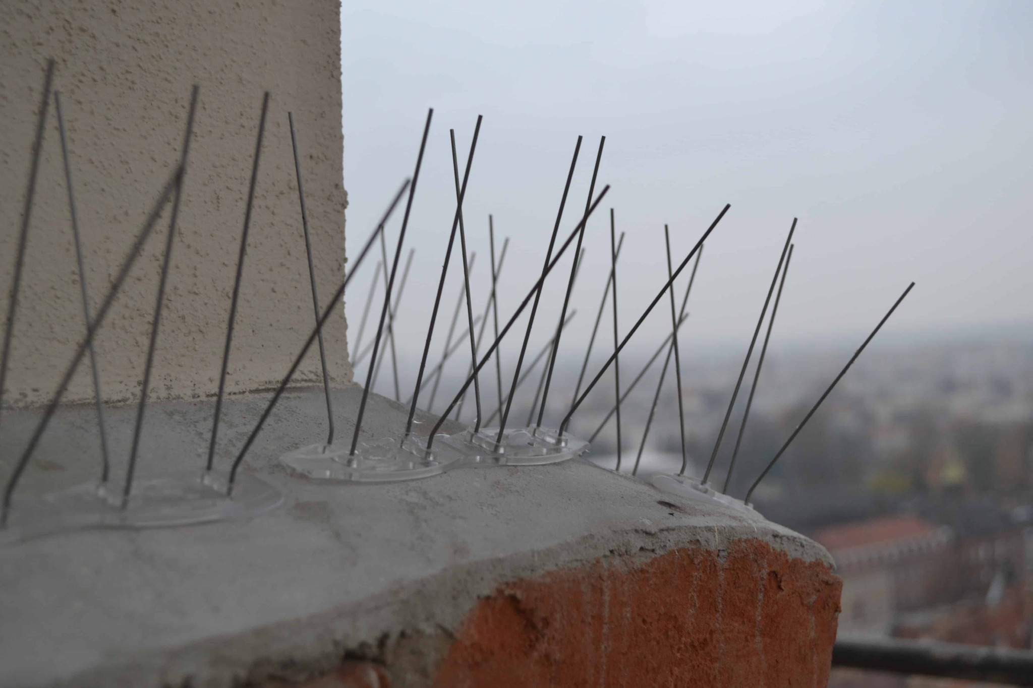 Zabezpieczenia przeciwko ptakom - Bydgoszcz