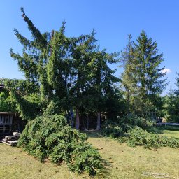 PIOTR MAZUR F.U.H PM-BAU - Perfekcyjne Wycinanie Drzew w Zawierciu