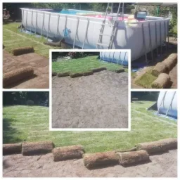 Rozkładanie trawy w rolkach wokół basenu ogrodowego, widoczne przygotowane podłoże i częściowo ułożone pasy darni.