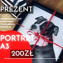 Malarstwo artystyczne Żory 1