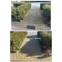FHU Błażej Trznadel - Porównanie stanu kostki brukowej przed i po czyszczeniu, widoczne różnice w kolorze i usunięciu zabrudzeń, z tujami po bokach i fragmentem psa w dolnej części.