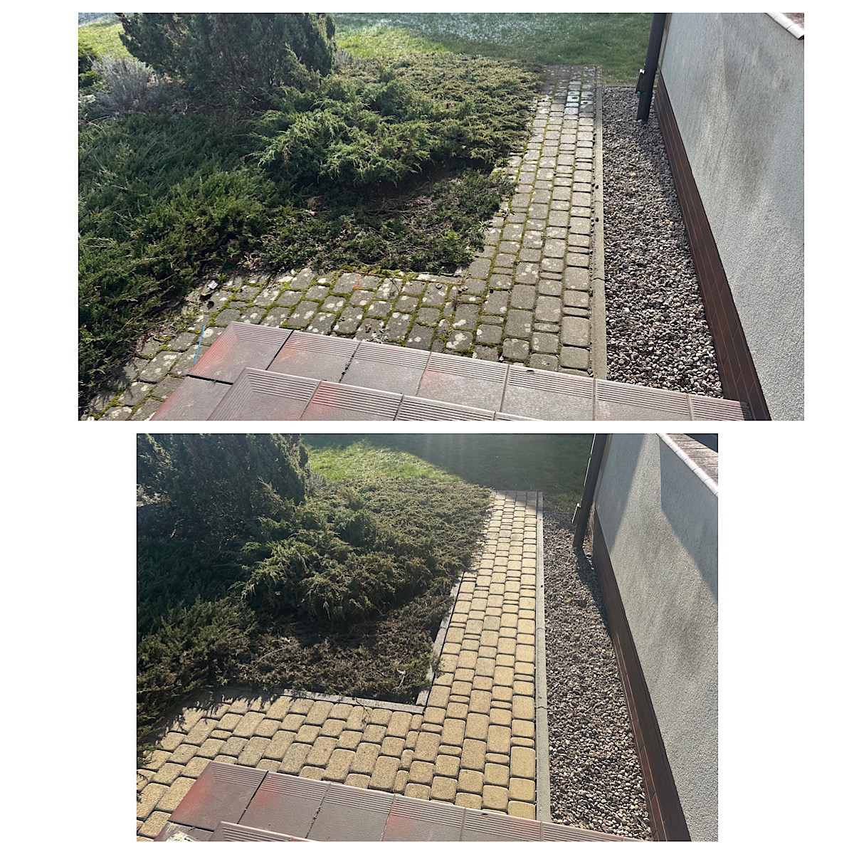 Porównanie kostki brukowej przed i po czyszczeniu, widoczne usunięcie mchu i zabrudzeń, z góry w kierunku schodów.