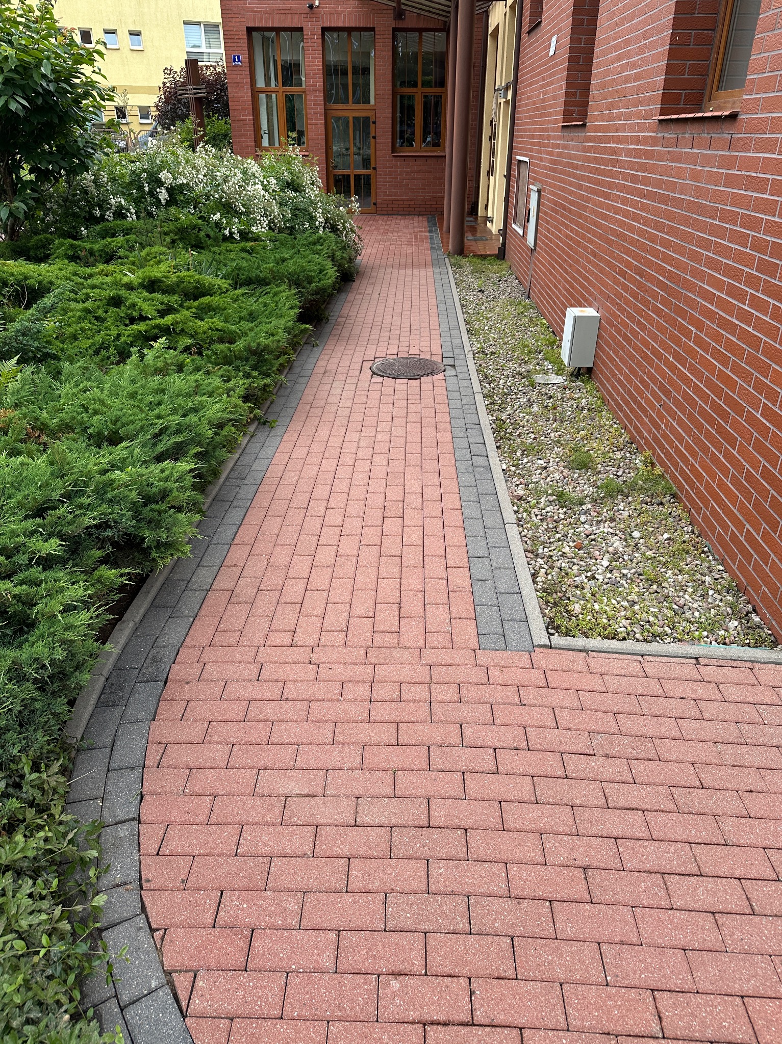 Czerwona kostka brukowa tworzy ścieżkę obok zieleni i ceglanej ściany budynku. Widoczny manhole. Szara obwódka kostki. Ujęcie z perspektywy pieszego, słoneczny dzień.