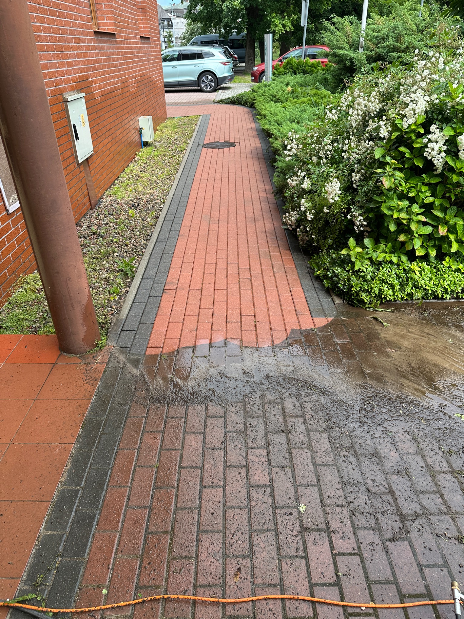 Częściowo umyta kostka brukowa wzdłuż budynku i zieleni, widoczny wąż ciśnieniowy. Połowa kostki jest mokra i czysta, druga połowa sucha i brudna. Widoczny efekt czyszczenia.